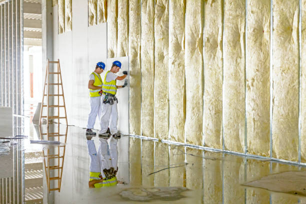 Best Insulation for Specific Applications in Home Garden, CA